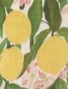 cartia-mini-dress-lemon-print.jpg