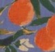 nova-crop-top-orange-print.jpg