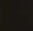 obelia-top-black.jpg