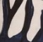 octavia-shorts-pirah-print.jpg