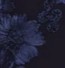 usha-tie-strap-maxi-dress-navy.jpg