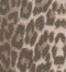 vasila-button-up-shirt-and-shorts-set-light-leopard-print.jpg